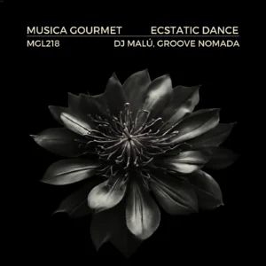 Leia mais sobre o artigo Explore the Rhythmic Blend: ‘Ecstatic Dance’ by Groove Nomada & DJ Malú