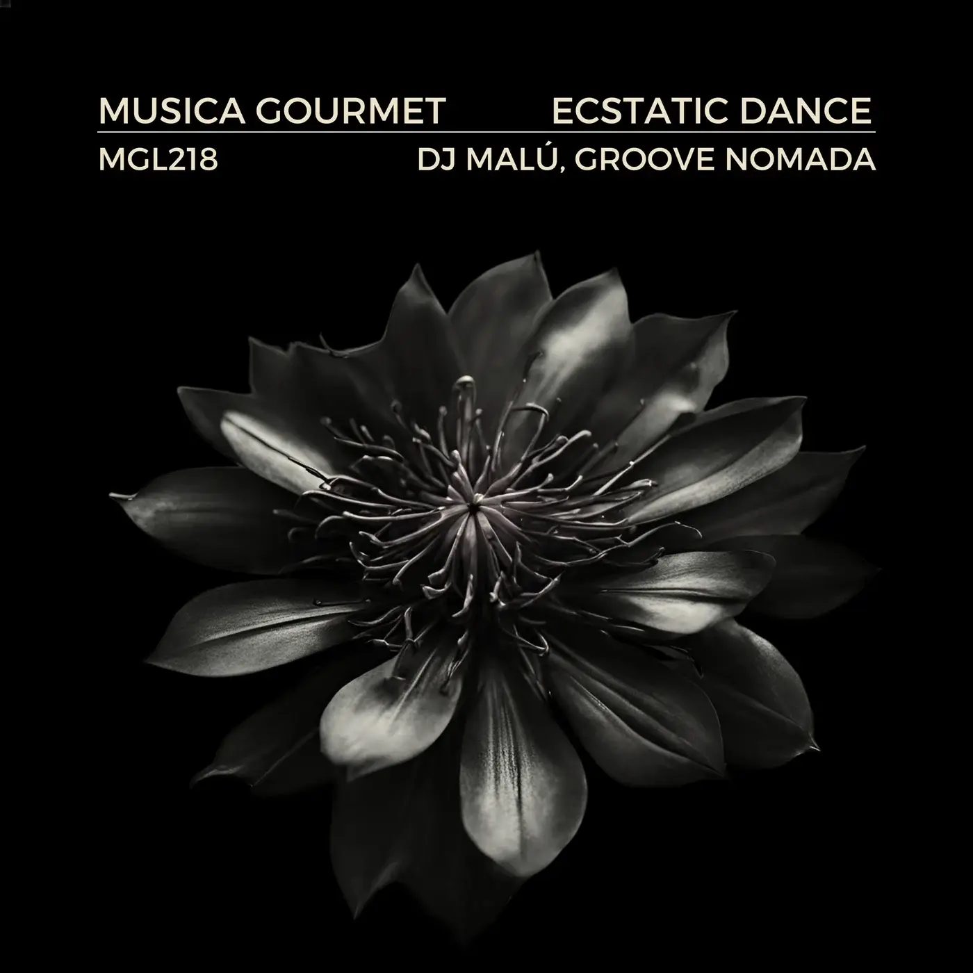 Leia mais sobre o artigo Explore the Rhythmic Blend: ‘Ecstatic Dance’ by Groove Nomada & DJ Malú