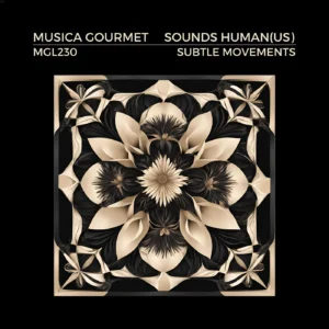 Read more about the article Discover the Rhythmic Journey of ‘Subtle Movements’ by Sounds Human (US)