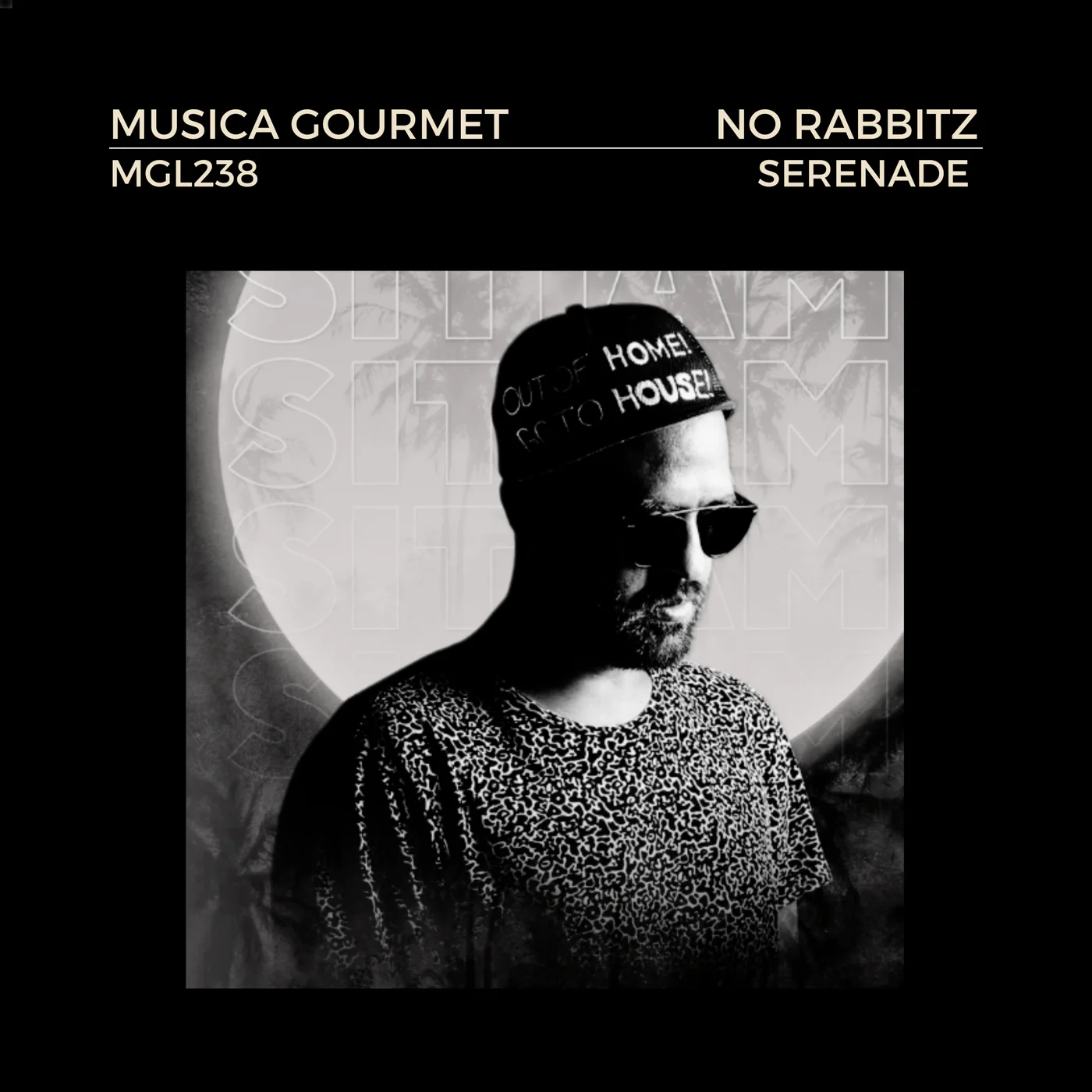 Read more about the article Serenade by No Rabbitz – Afro-Melodic Release | Musica Gourmet